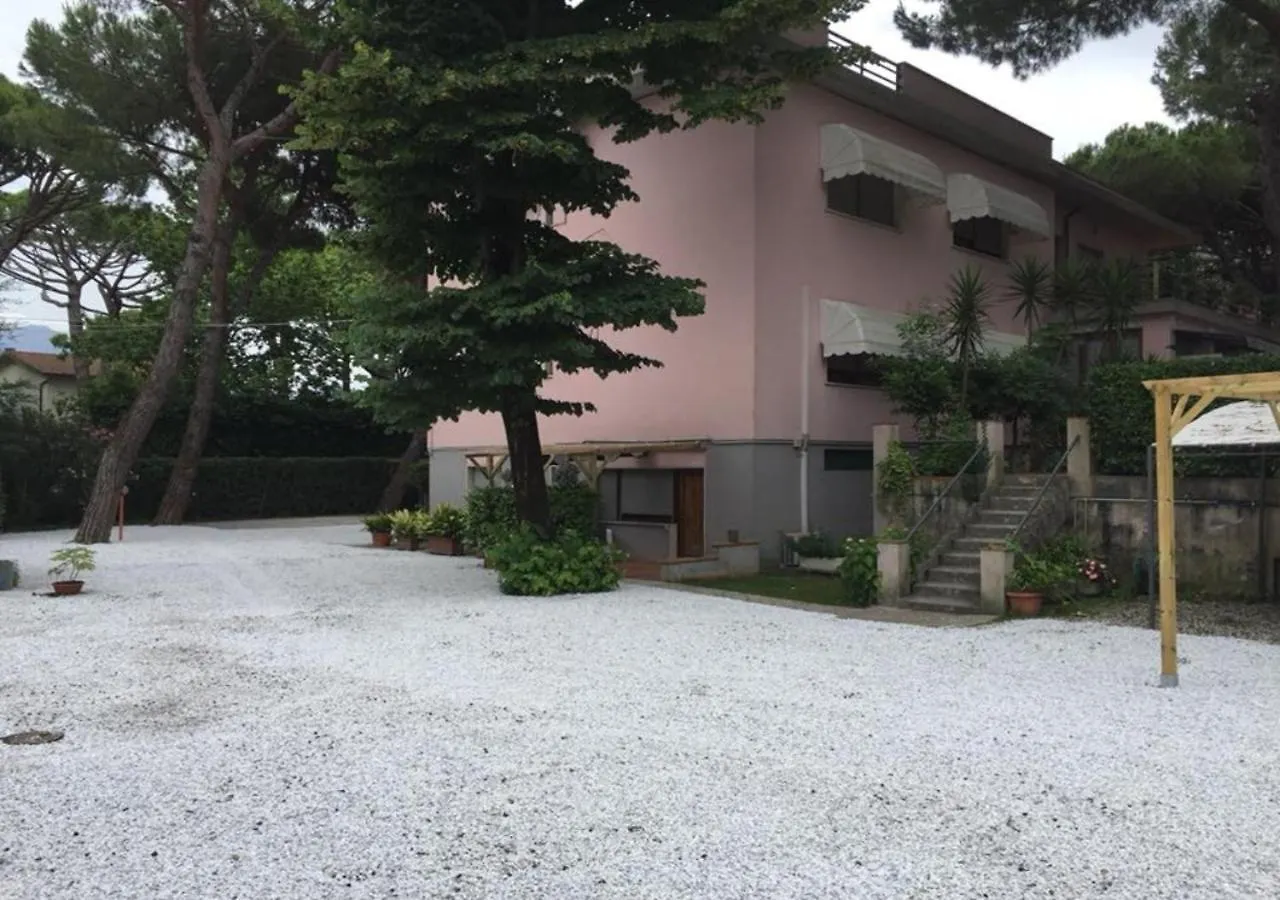 Hotel Storyville Business & Holiday Cinquale